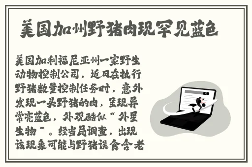 zztt03.ccm黑料